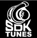 SDK 1994 - 2003 Powerstroke Hydra Tuning - Manali Performance